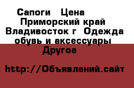 Сапоги › Цена ­ 100 - Приморский край, Владивосток г. Одежда, обувь и аксессуары » Другое   